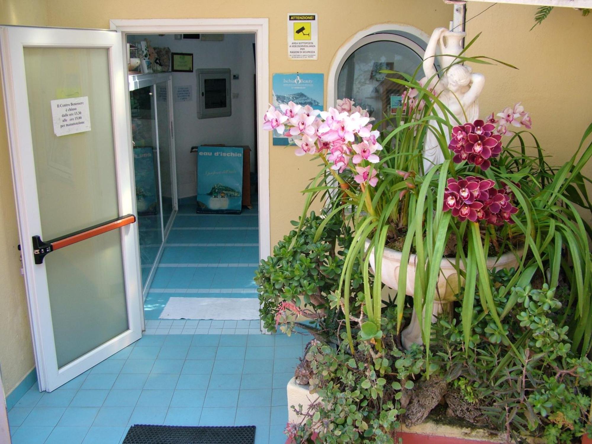 Hotel Giardino Delle Ninfe E La Fenice Ischia Eksteriør billede