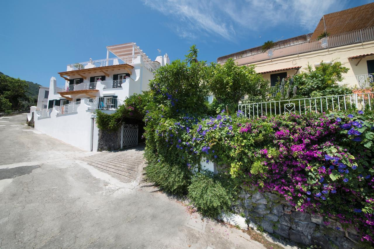 Hotel Giardino Delle Ninfe E La Fenice Ischia Eksteriør billede